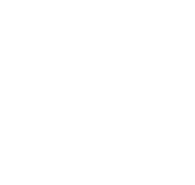 Logo Physiolife - Branco - sem fundo